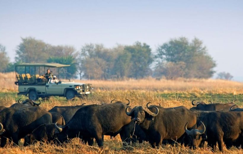 5 Day Untouched Wilderness: Zambia Safari in Lower Zambezi National Park