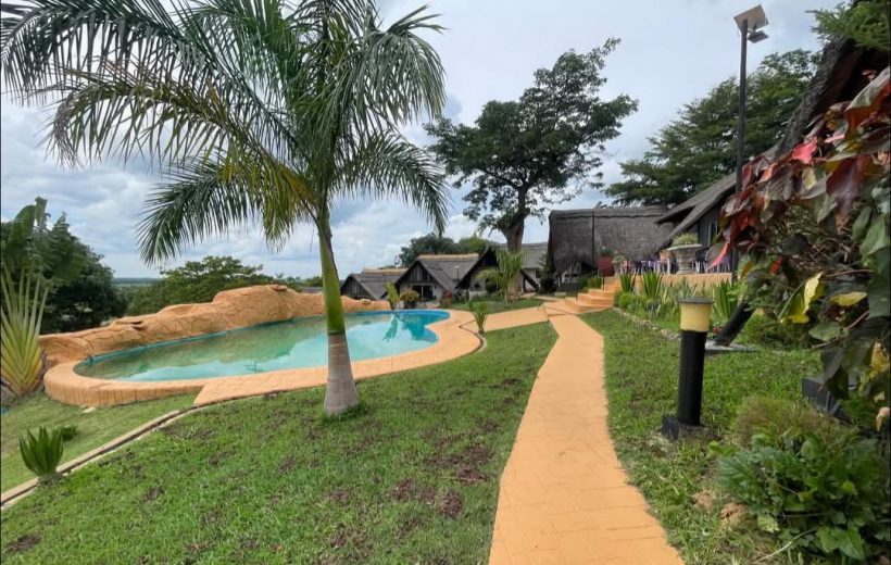 Conferences & Events